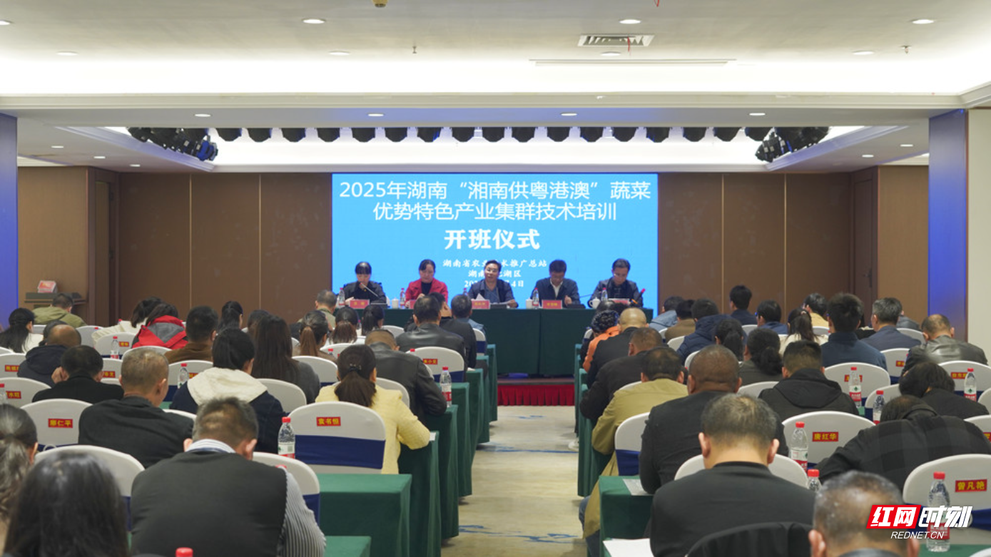 聚能强链  湘南“供粤港澳”蔬菜产业集群技术培训班开班