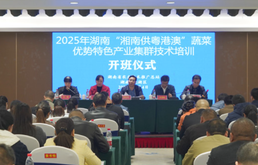 聚能强链 湘南“供粤港澳”蔬菜产业集群技术培训班开班