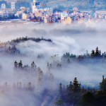 嘉肴·家味 ① | 湘南烟火气 湘菜江湖升起“嘉禾坐标”