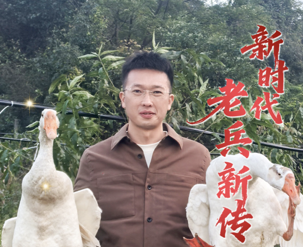 新时代老兵新传·兵支书│王亚敏：从电力尖兵到绿野先锋 