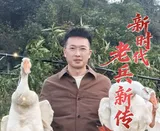 新时代老兵新传·兵支书│王亚敏：从电力尖兵到绿野先锋 