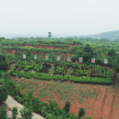 贸促企谈 | 湘众药业:传承创新链动乡村振兴 匠心铸就中药饮片新高地