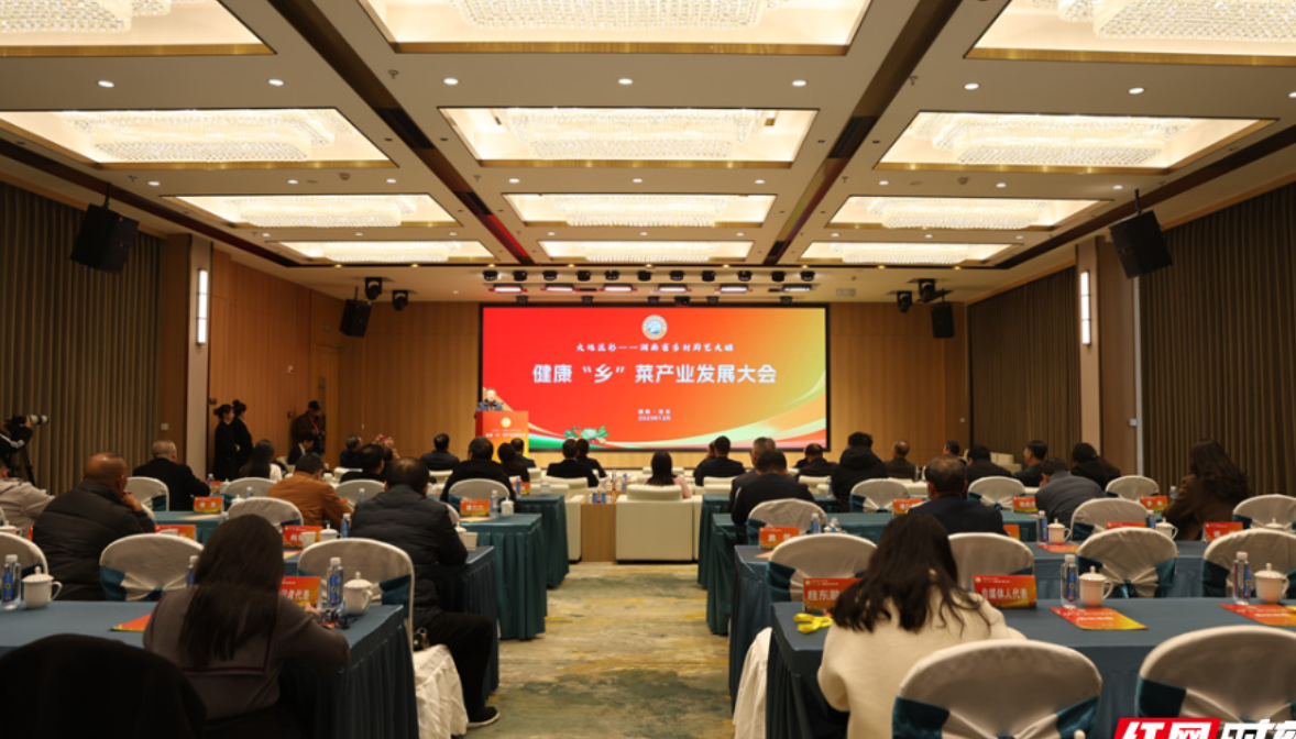 湖南健康“乡”菜产业发展大会在桂东召开  共谋乡土餐饮振兴新路径