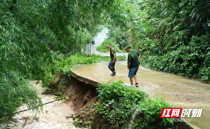 新时代老兵新传·兵支书│雷凌峰：大山深处的“指挥官”  把穷山沟变成“绿富美”