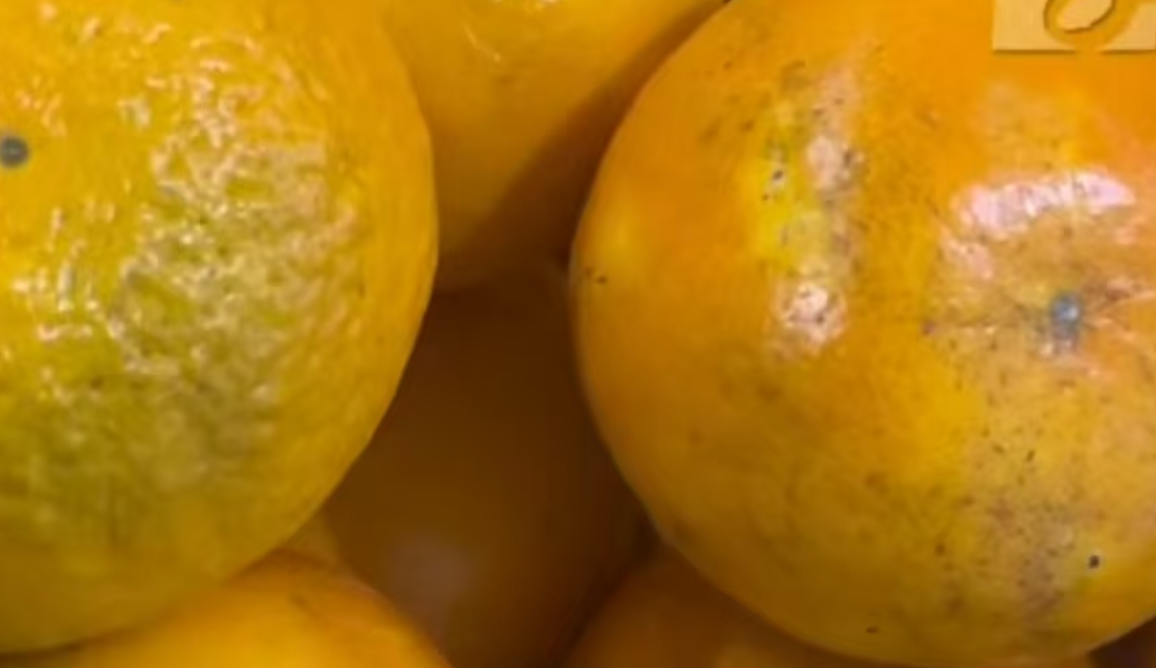 珍“硒”郴品② | 富硒村里的郴州沃柑，脆嫩香甜！