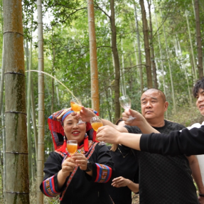 “两山”转化求突破① | 莽山瑶胞的“生态存折”