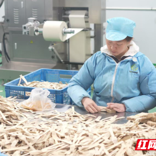 贸促企谈丨竹之源：下“竹”功夫 抢滩“以竹代塑”新赛道