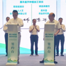 郴州：政企携手共绘乡村振兴新图景