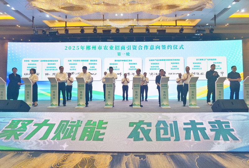 郴州：政企携手共绘乡村振兴新图景