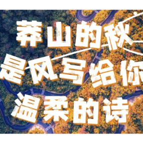 宜章，不止“一章 ”| 海报·视觉：莽山四季