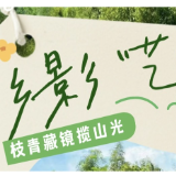 郴游“小而美”丨北湖区枝青艺术村：与自然共生的诗意栖居