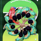 海报 | 湘超郴州主场揭幕战倒计时2天！“郴”风而上 “郴”霸四方！