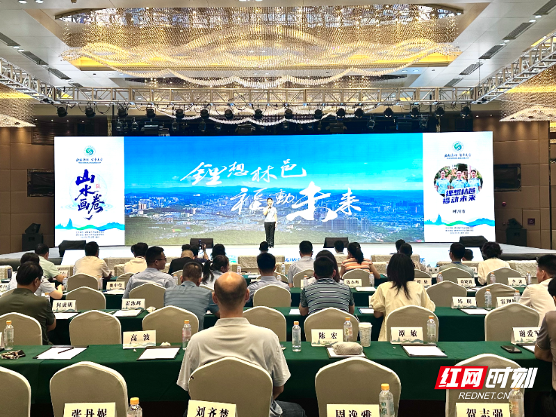 “数动潇湘 智举芙蓉”湖南省市场监管系统第一届经营主体数据分析大赛在郴州开幕