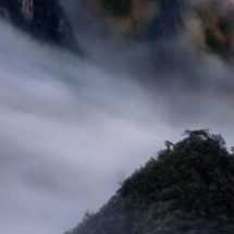 “天下莽山”之蝶变 | 一座山:森林秘境变人间仙境