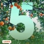 海报 | 2025年郴州旅游发展大会倒计时5天！