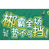海报 | 湘超郴州主场揭幕战倒计时7天！“郴”霸全场 势不可挡！