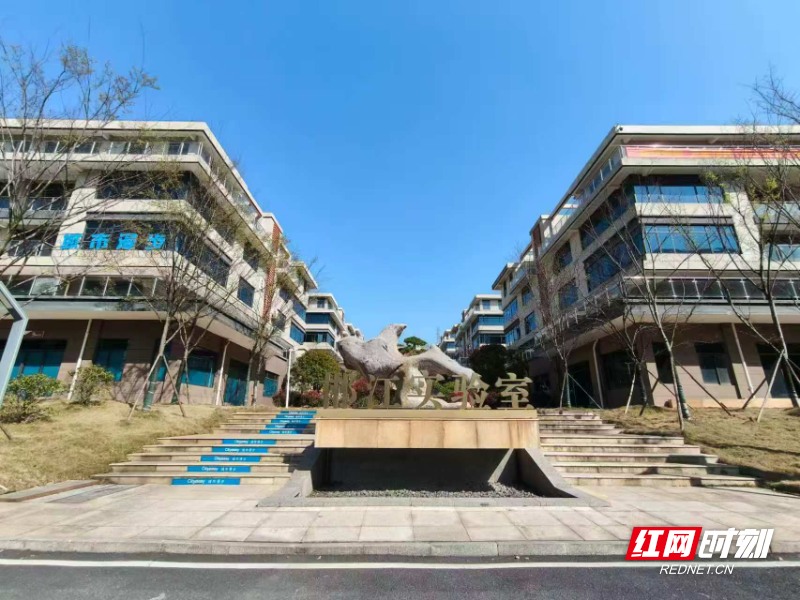 奔涌向新② | 科创平台“满园春”