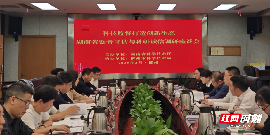 奔涌向新⑤ | 优化生态促创新