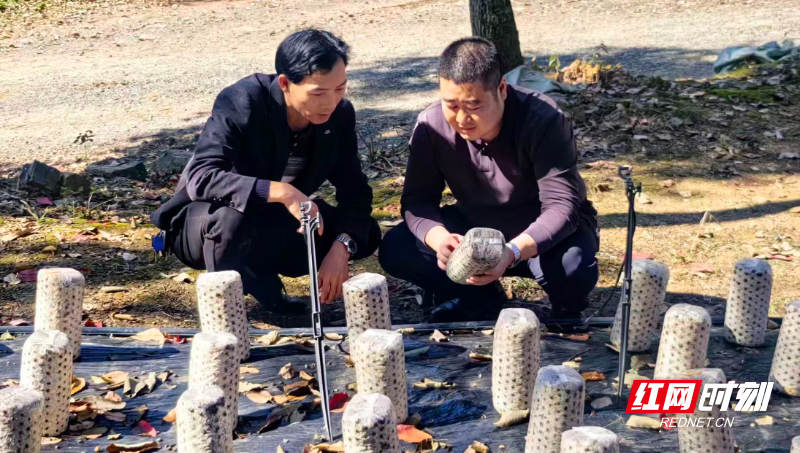 新时代老兵新传·兵支书│李司杰：“杰哥书记”扛责冲锋 蝶变幸福家园