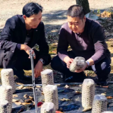 新时代老兵新传·兵支书│李司杰:“杰哥书记”扛责冲锋 蝶变幸福家园