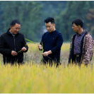 新时代老兵新传·兵支书│谭鹏辉：从“兵支书”到致富带头人  他把荒洲变良田