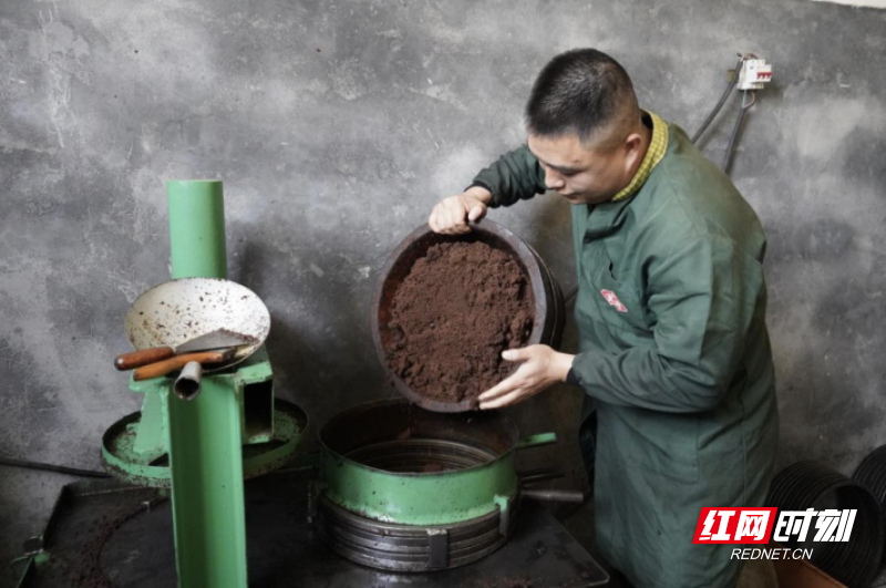 新时代老兵新传·兵支书丨曹志辉：90后兵心扎乡野 十年耕耘映茶林