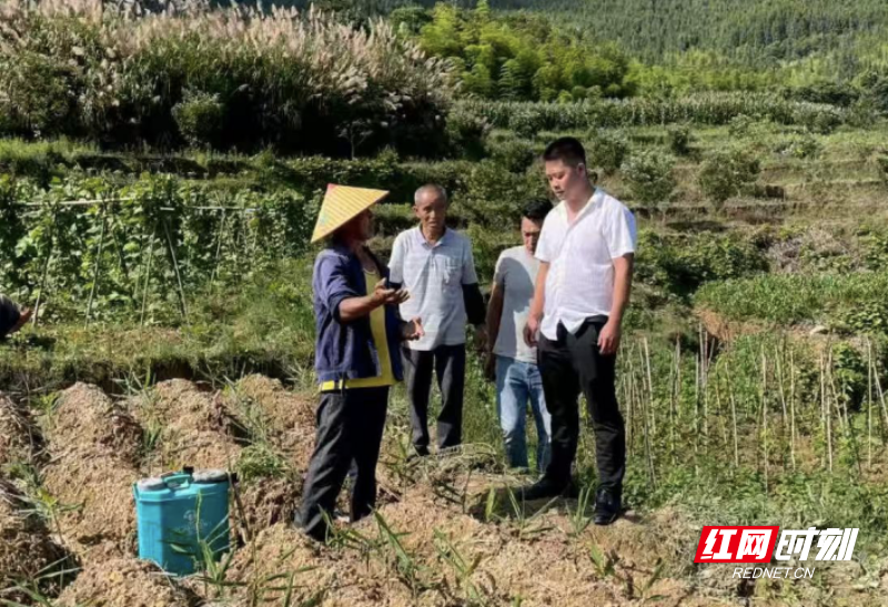 新时代老兵新传丨何星松：荒坡变金山 旧村换新颜