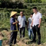 新时代老兵新传丨何星松：荒坡变金山 旧村换新颜