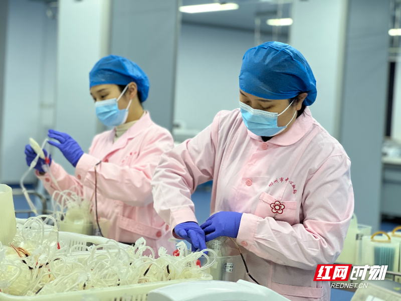 巾帼力量·郴风破浪 | 郴州市中心血站：福城巾帼凝热血以爱为舟护生命