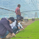 郴耕一线丨“藏技于田” 护航春耕