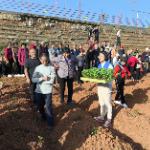 郴州：田间课堂“充电”忙 蔬菜产业添动能