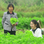 垄上青春 ②丨“00后”海归姑娘，助村里老人“以菜易物”