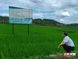 智赋郴州｜邓斌：深耕乡土传技赋能 激活富硒农业振兴动能