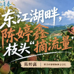 垄上青春丨东江湖畔,陈婷鑫枝头“摘流量”
