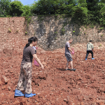 “齐心撒新翠·绿意护郴城”郴州开展储备地块裸土扬尘专项整治行动