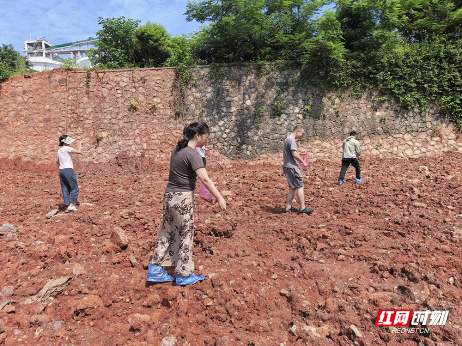 “齐心撒新翠·绿意护郴城”郴州开展储备地块裸土扬尘专项整治行动