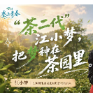 垄上青春|“茶二代”江小梦,把梦种在茶园里