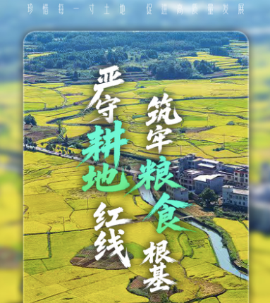 海报 | 守红线、护粮仓、拓新途 郴州耕地保护的“质”与“量”双答卷