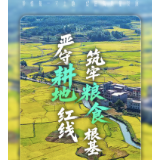 海报 | 守红线、护粮仓、拓新途 郴州耕地保护的“质”与“量”双答卷
