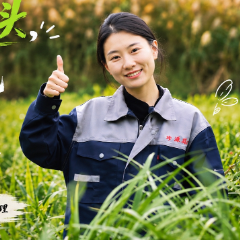 垄上青春丨放下笔头扛起锄头，陈佳婷带乡亲开荒种药材