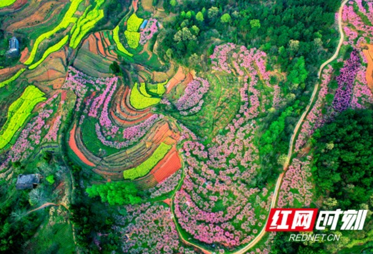 湖南水土流失面积和强度持续“双下降”