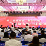 湖南省“侨助高质量发展十佳案例”发布（附名单）