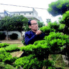 从“迷彩绿”到多彩人生|付干芝:半生匠心塑青松 四十载点“绿”成金守初心