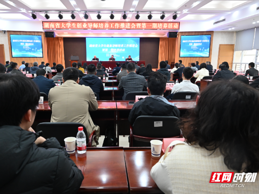 湖南启动大学生创业导师培养工作 为“双创”沃土注入新动能