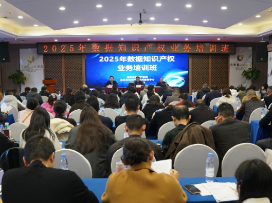 湖南举办2025年数据知识产权业务培训