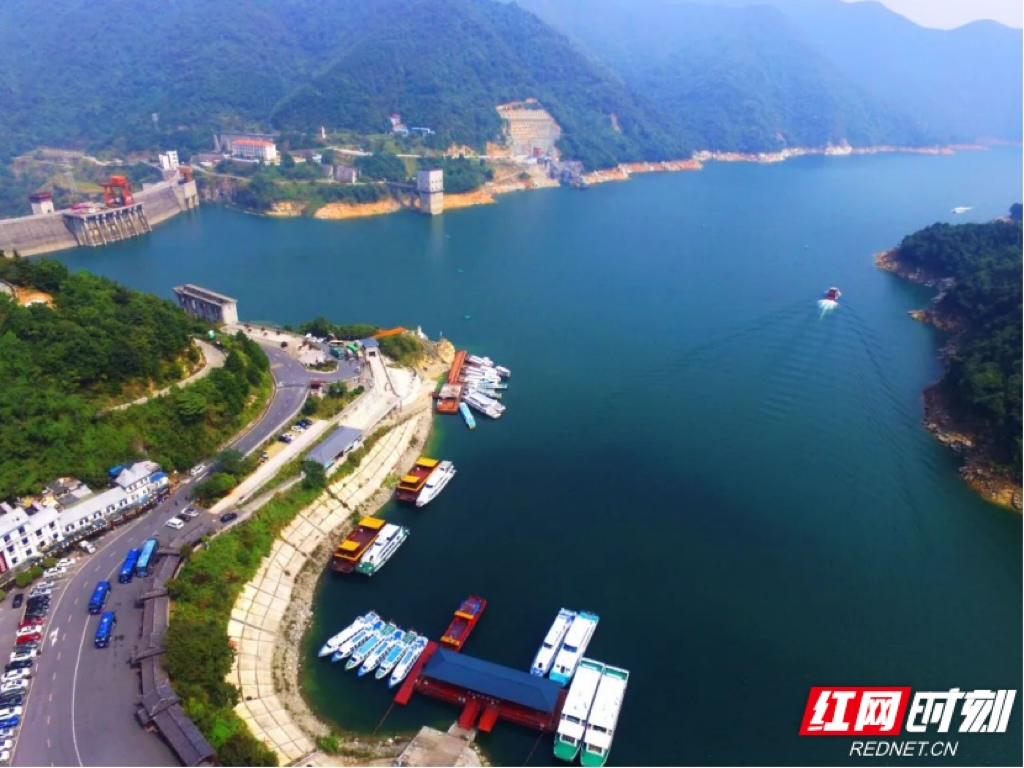 图片1.png 图片1.png