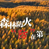 湖南启动森林防灭火IV级应急响应