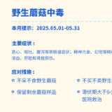 较高！湖南发布5月野生蘑菇中毒指数