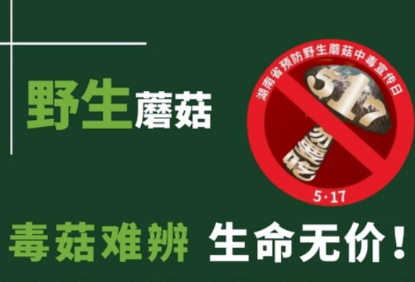工具箱、表情包 湖南疾控守护食安防线出大招