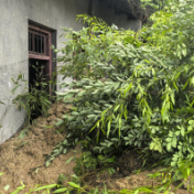 防汛一线 | 果断转移6户18人后，山体大面积滑坡